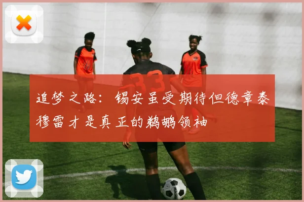 追梦之路：锡安虽受期待但德章泰穆雷才是真正的鹈鹕领袖